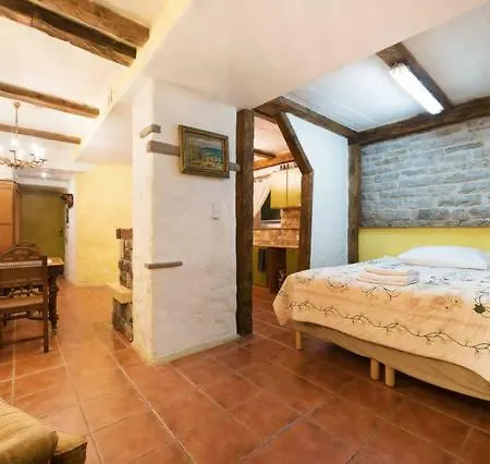Rustic-style Studio Tallinn